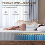 Bed in a Bo